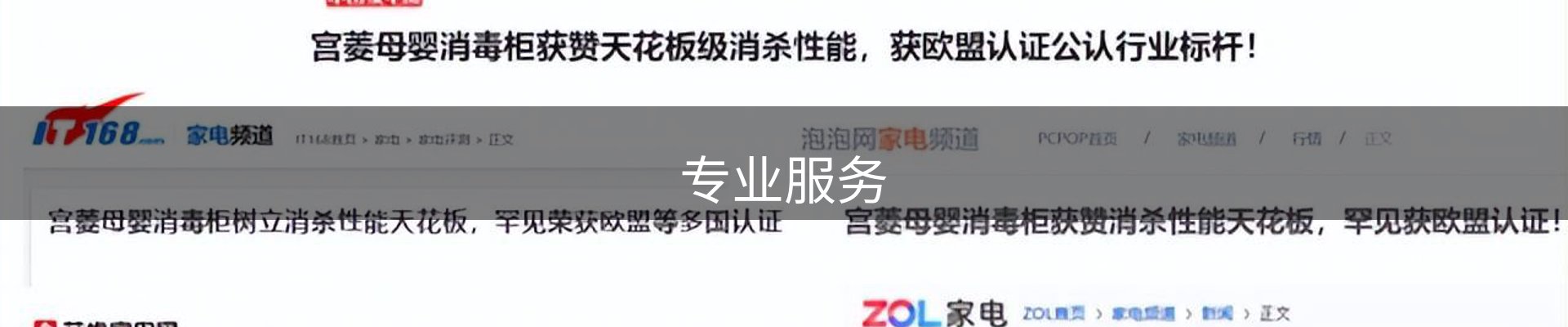 专业服务