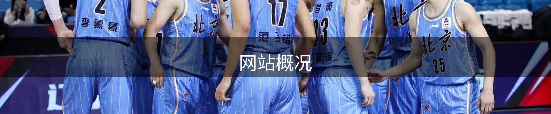 网站概况